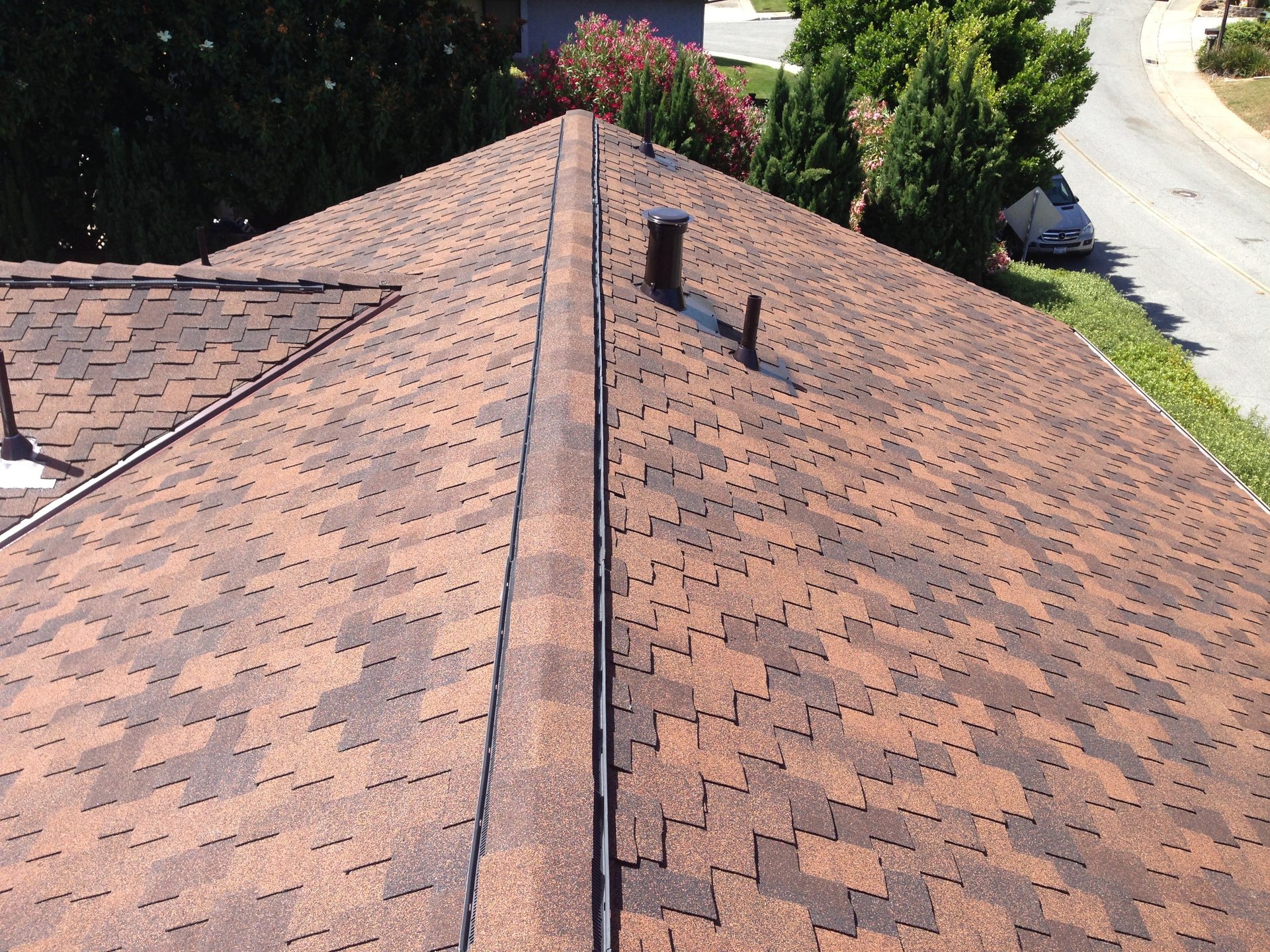 Presidential Aged Bark屋頂